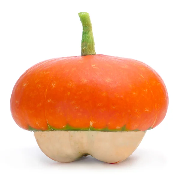 Pumpkin — Stock Photo, Image