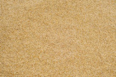 kum plaj veya çöl veya bir sandpit