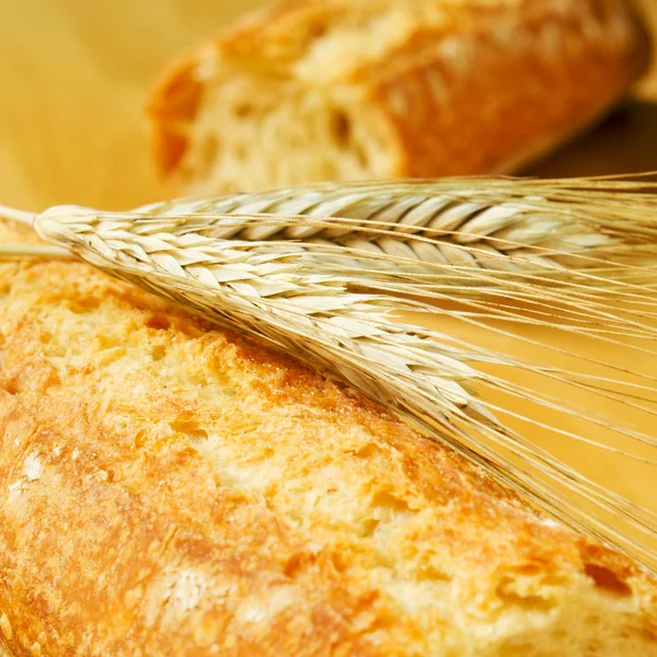 Bread — Stock Photo, Image