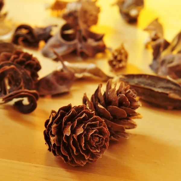 소나무 콘 및 말린된 꽃과 나뭇잎 — 스톡 사진