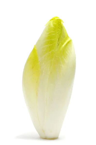 Belgiska endive — Stockfoto