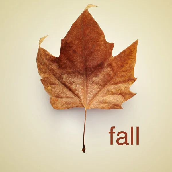 Fall — Stock Photo, Image