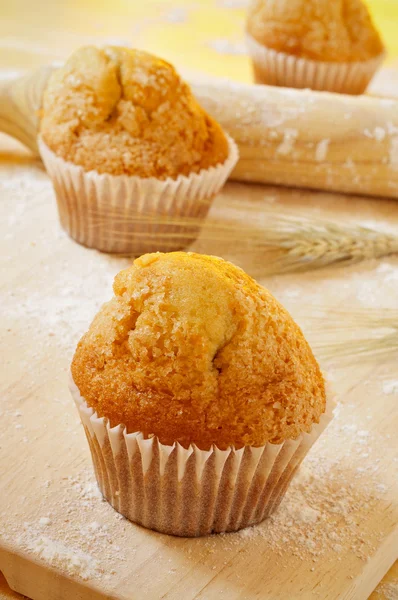 Magdalenas, muffins lisos espanhóis típicos — Fotografia de Stock