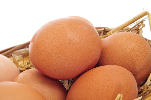 Huevos marrones en una cesta — Foto de Stock