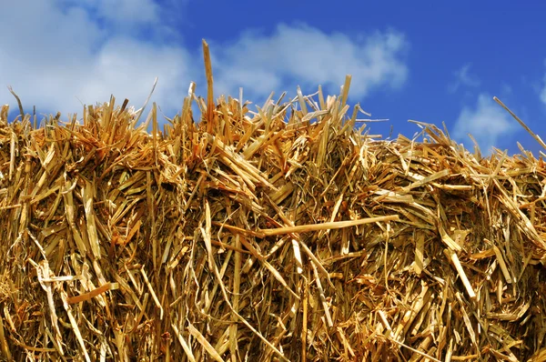 Straw bale — Stock Photo, Image