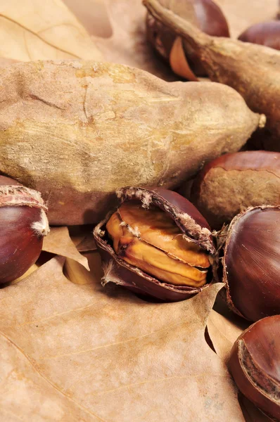 Kavrulmuş kestane ve tatlı patates, tipik tüm saint snack — Stok fotoğraf