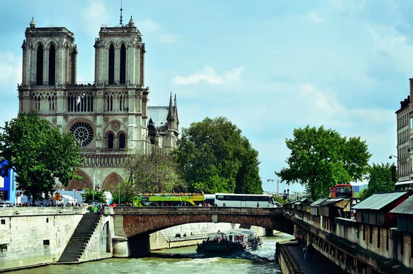 Sekwana katedry rzeki i katedry notre-dame w Paryżu, Francja — Zdjęcie stockowe