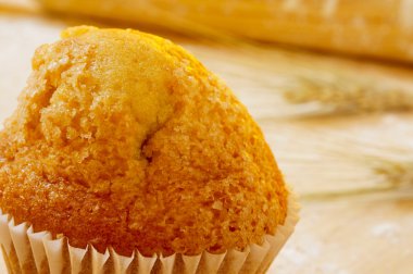 Magdalena, tipik İspanyol sade kek