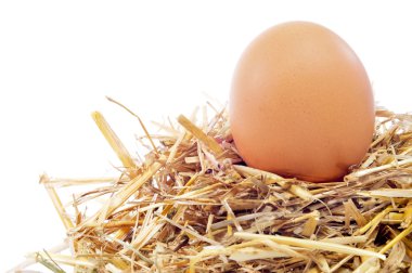 chicken egg in a nest clipart