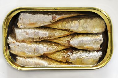 konserve sardalya