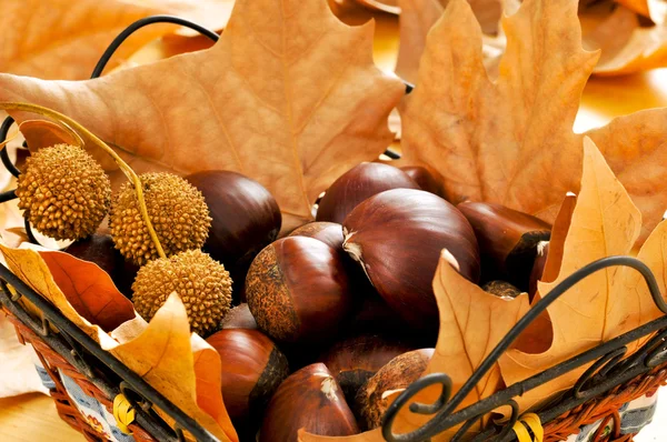 Castañas y hojas de otoño — Foto de Stock