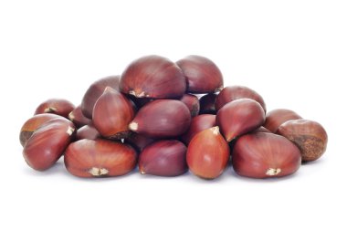 kestane