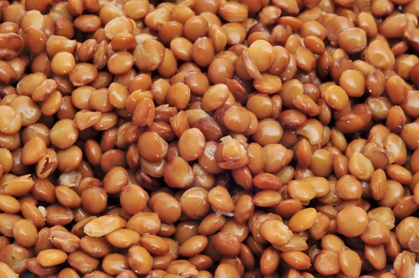 Cooked lentils — Stock Photo, Image