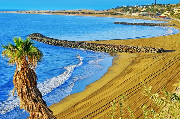 Пляж Playa del Ingles в Маспаломасе, Гран-Канария, Испания — стоковое фото