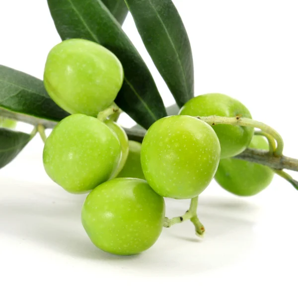 Olive — Foto Stock