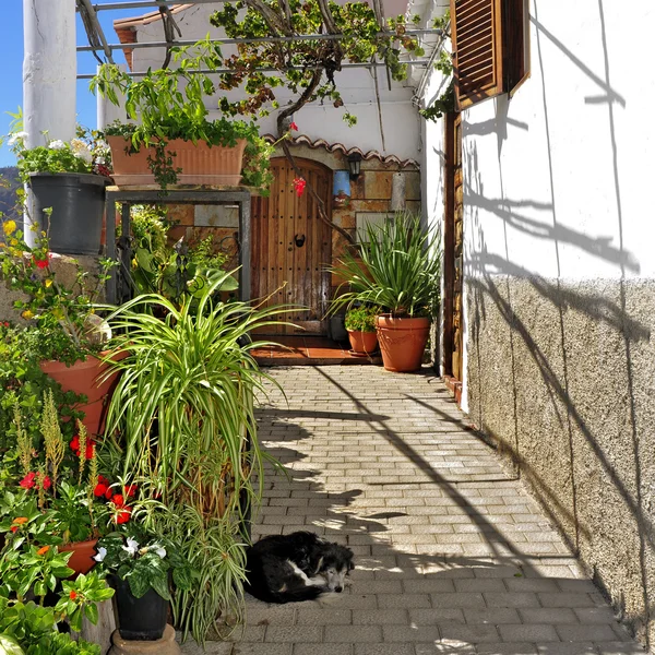 Street of Fataga, Gran Canaria, Spain — Stock Photo, Image