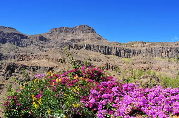 Gran canaria, Hiszpania — Zdjęcie stockowe