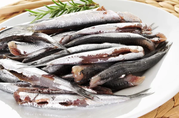 Boquerones españoles crudos, anchoas típicas de España —  Fotos de Stock