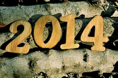 olarak yeni yıl 2014