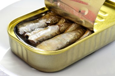 konserve sardalya