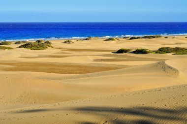 doğal rezerv tepeleri Maspalomas, gran canaria, İspanya