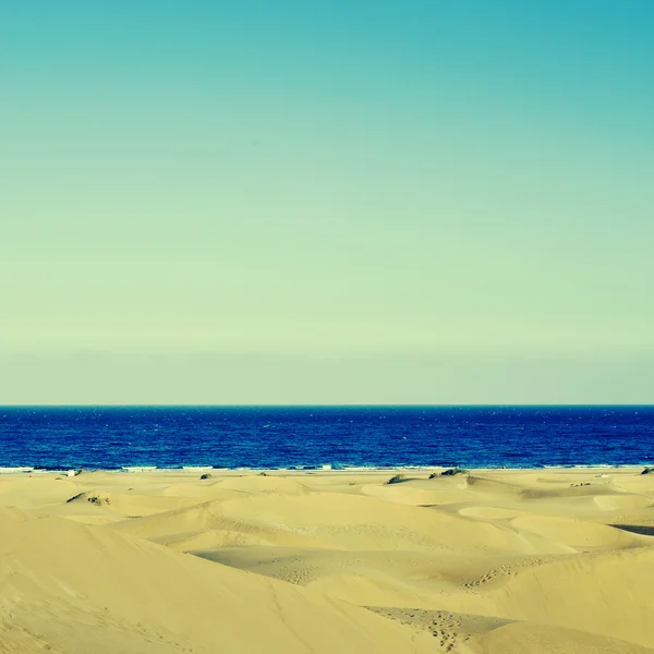 Φυσικό καταφύγιο αμμόλοφους της maspalomas, στην Γκραν Κανάρια, Ισπανία — Φωτογραφία Αρχείου