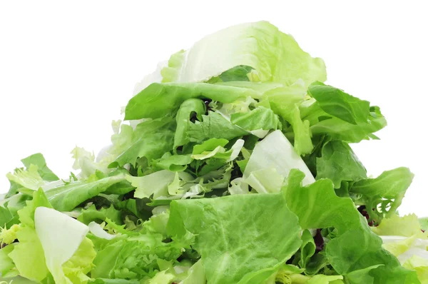 Mesclun, un mix di foglie di insalata assortite — Foto Stock