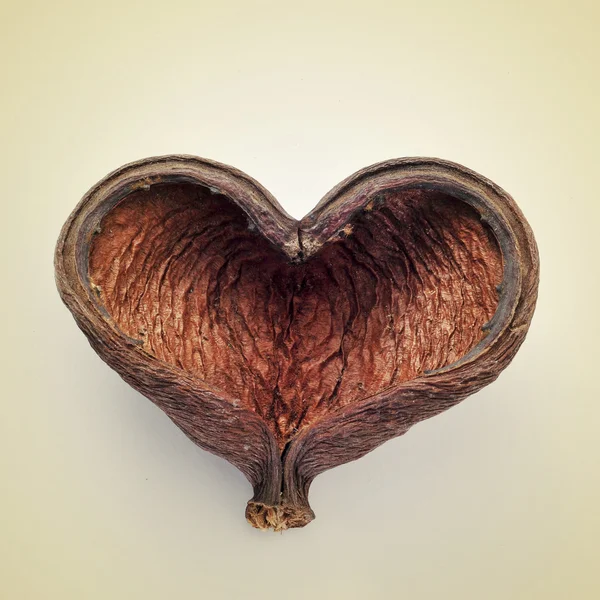 Формі серця горіховою шкаралупи — стокове фото