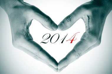 olarak yeni yıl 2014