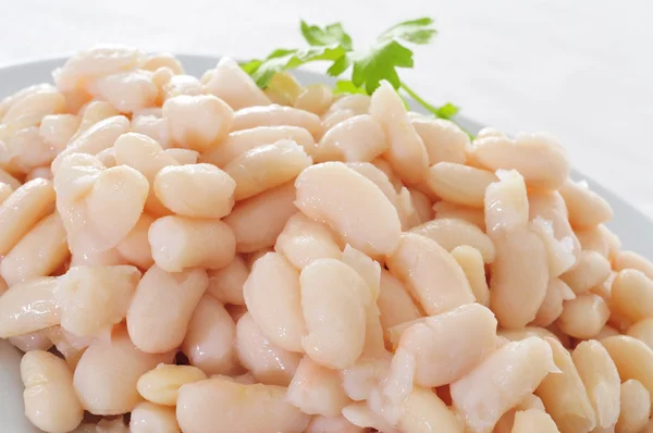 Cooked white beans — Zdjęcie stockowe