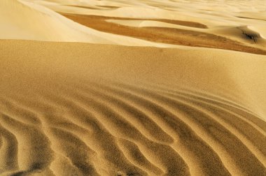 doğal rezerv tepeleri Maspalomas, gran canaria, İspanya