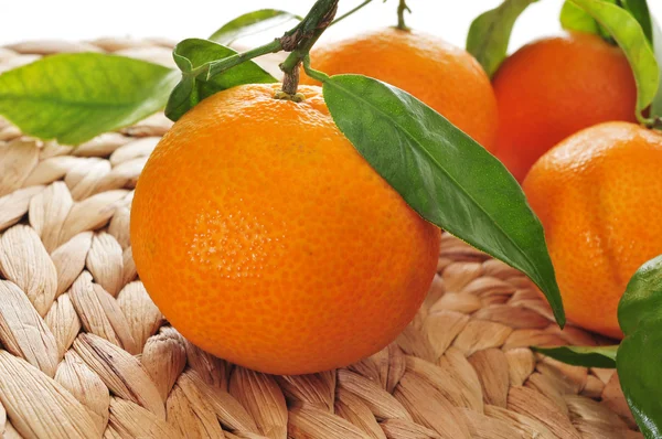Mandarin oranges — Stock Photo, Image