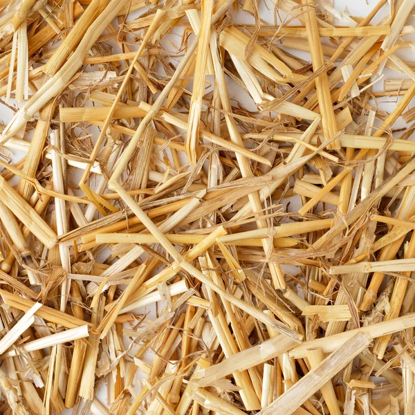 Straw — Stock Photo, Image