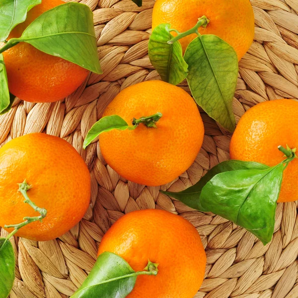 Mandarijn sinaasappelen — Stockfoto