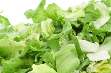 mesclun, karışık salata karışımı yaprakları