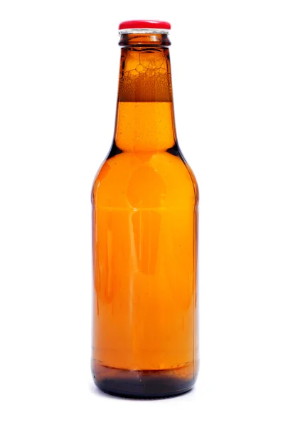 Birra — Foto Stock