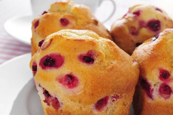 Redcurrant muffins — Stock Photo, Image