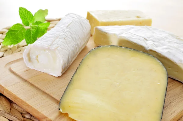 チーズ 5 種盛合せ — ストック写真