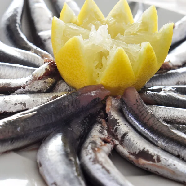 Raw spanish boquerones, anchovies typical in Spain — Stock Photo, Image