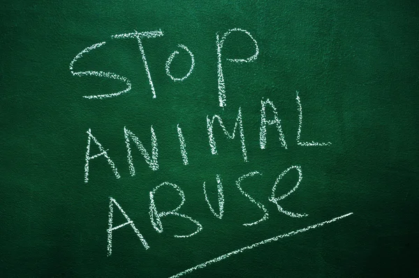 Detener el abuso animal — Foto de Stock