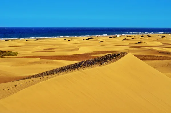 グラン カナリア島、スペインのマスパロマスの砂丘の自然保護区 — ストック写真