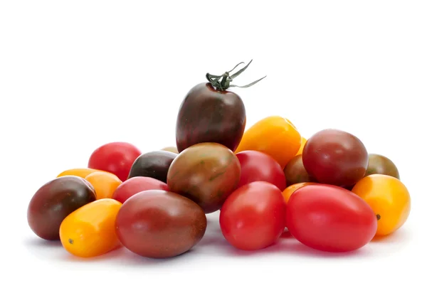 Tomates de ameixa de bebê — Fotografia de Stock