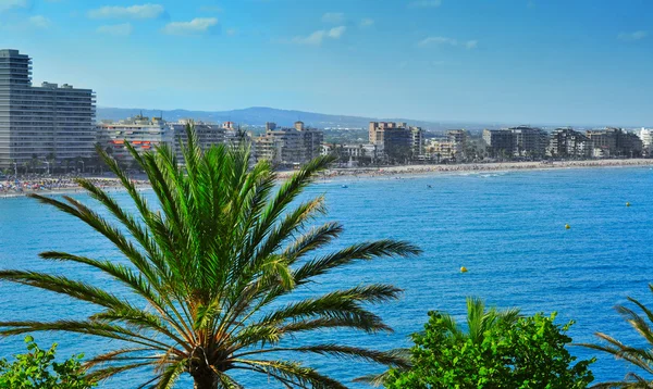 North Beach'te peniscola, İspanya — Stok fotoğraf