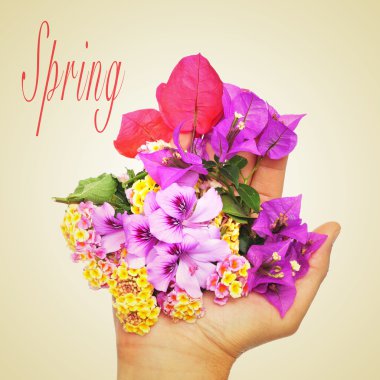 spring clipart