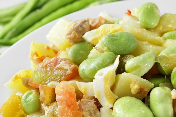 Ensalada con habas crudas, tomate, atún, patata hervida, hervida — Foto de Stock