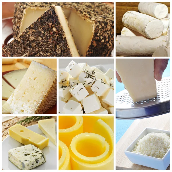 チーズのコラージュ — ストック写真