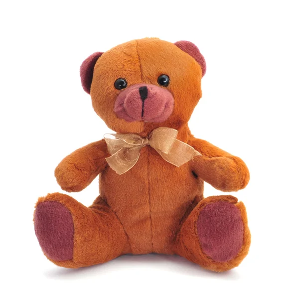 stock image teddy bear