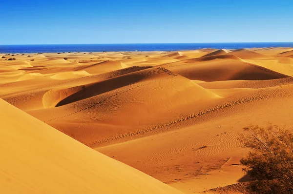 Natural Reserve of Dunes of Maspalomas, in Gran Canaria, Spain — Stock Photo, Image