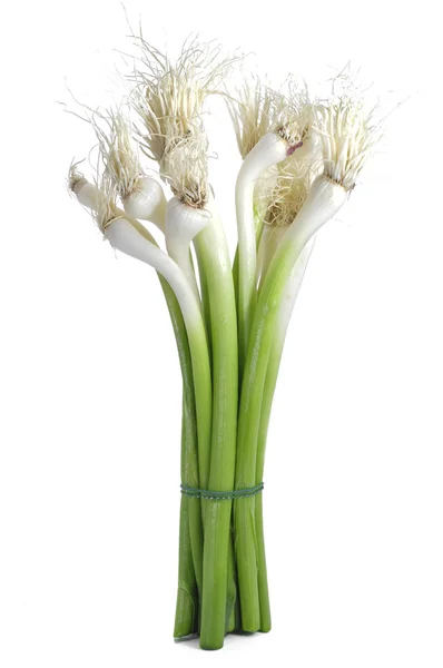 Raw green garlic — Stock Photo, Image