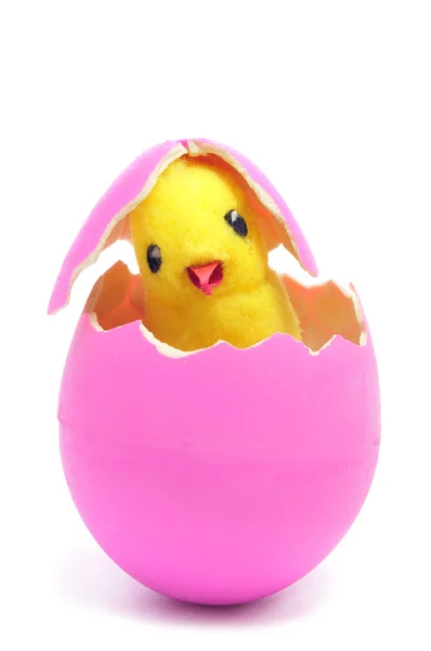 Teddy chick and hatched pink easter egg — Stock Photo, Image